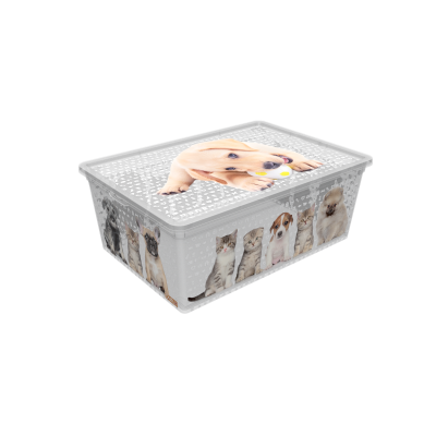 Контейнер Qutu Light Box Cats and Dogs, 10 л