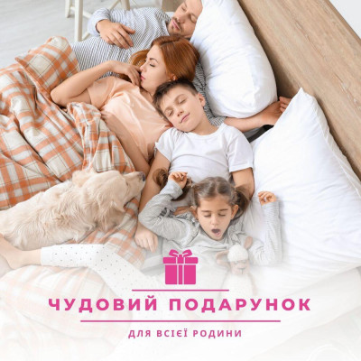 Набір подушка 50х70 см 2 шт та євро ковдра 200х220 см Elegantly IDEIA, аналог лебединого пуху, штучний пух ( 8-35565 )