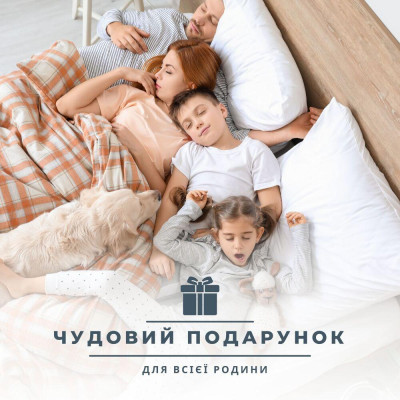 Ковдра ДобраНіч IDEIA 200х220 см всесезонна антиалергенна щіл. 300 г/м2 біла ( 8-35579*001 )