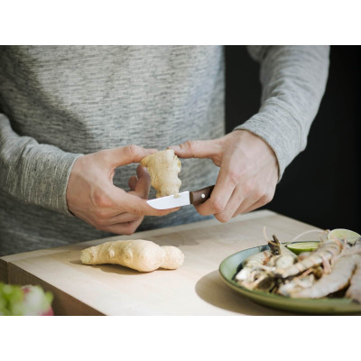Ніж для стейків та томатів Fiskars Norr 12 см 1016472