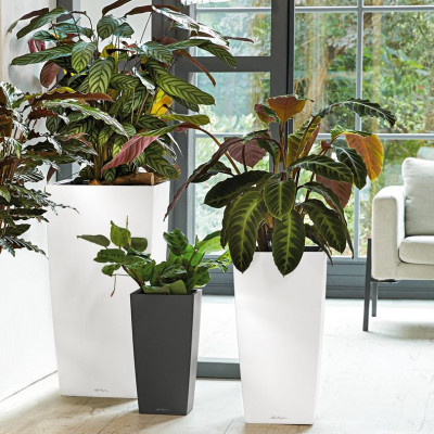 Вазон Lechuzа Cubico 40, кофе-металік