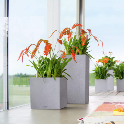 Вазон Lechuza Canto Stone 30 high, кварцовий білий Вазон Lechuza Canto Stone 30 high, кварцовий білий