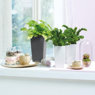 Вазон Lechuza Mini-Cubi, белый Вазон Lechuza Mini-Cubi, белый