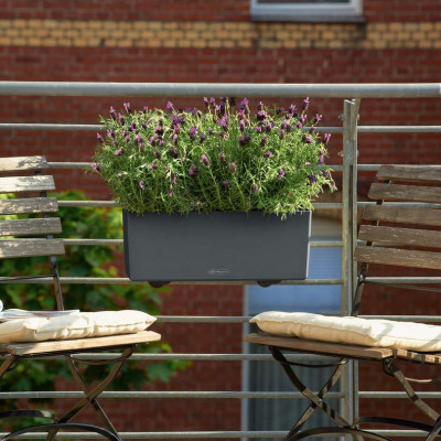 Вазон Lechuza Balconera Color 50, сірий