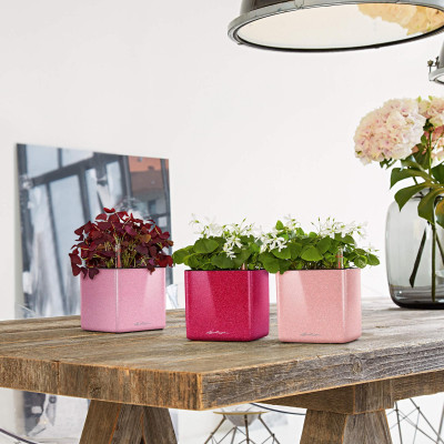 Вазон Lechuza Cube Glossy 14, рожевий Вазон Lechuza Cube Glossy 14, рожевий