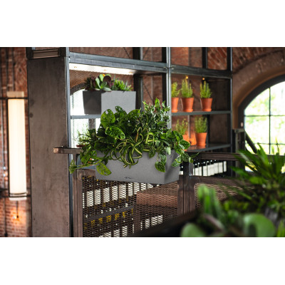 Вазон Lechuza Balconera Stone 50, серый камень