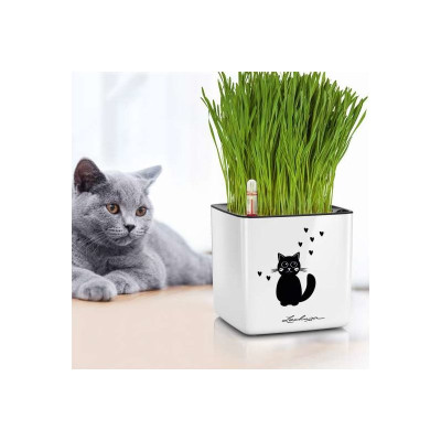 Вазон Lechuza Cube Glossy Cat 4, чорний блискучий Вазон Lechuza Cube Glossy Cat 4, чорний блискучий