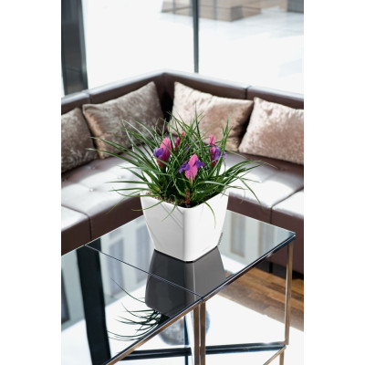 Вазон Lechuza Quadro Premium LS 28, білий