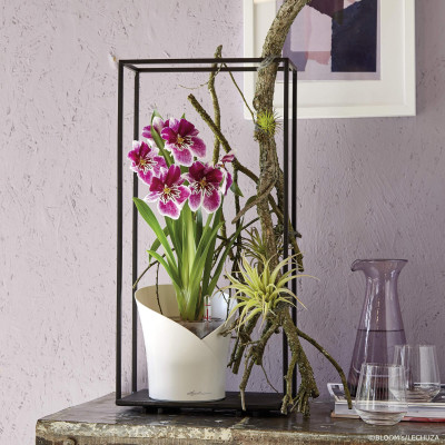 Вазон Lechuza Orchidea 20, білий