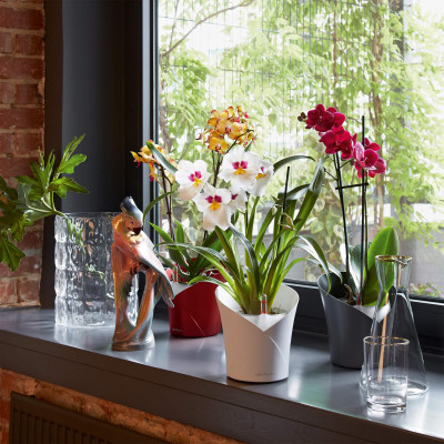 Вазон Lechuza Orchidea 20, червоний Вазон Lechuza Orchidea 20, червоний
