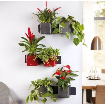 Комплект Lechuza Green Wall Home Kit Glossy, 48х6х14 см, білий Комплект Lechuza Green Wall Home Kit Glossy, 48х6х14 см, білий