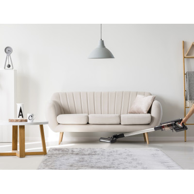 Акумуляторний пилосос Gorenje SVC 252 FMBK (VC3931-GS) Акумуляторний пилосос Gorenje SVC 252 FMBK (VC3931-GS)