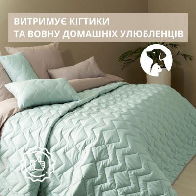 Покрывало ЛЮКС TM IDEIA 240х260 см м'ята/св.сірий ( 8-34587*002 )